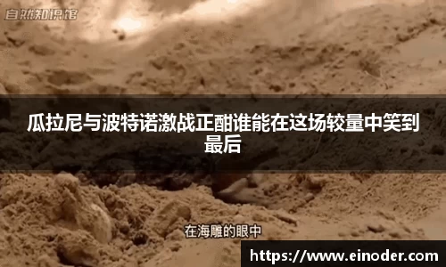 瓜拉尼与波特诺激战正酣谁能在这场较量中笑到最后